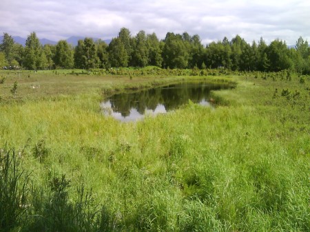 Midtown Anchorage - Anyone know where this is?